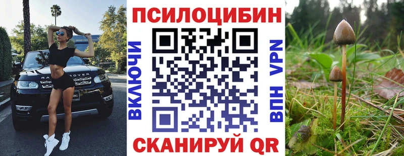 Псилоцибиновые грибы Cubensis  Купить где  Нижний Тагил 